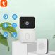 Бездротовий дверний відеодзвінок WiFi Smart Doorbell NM66-S фото 1